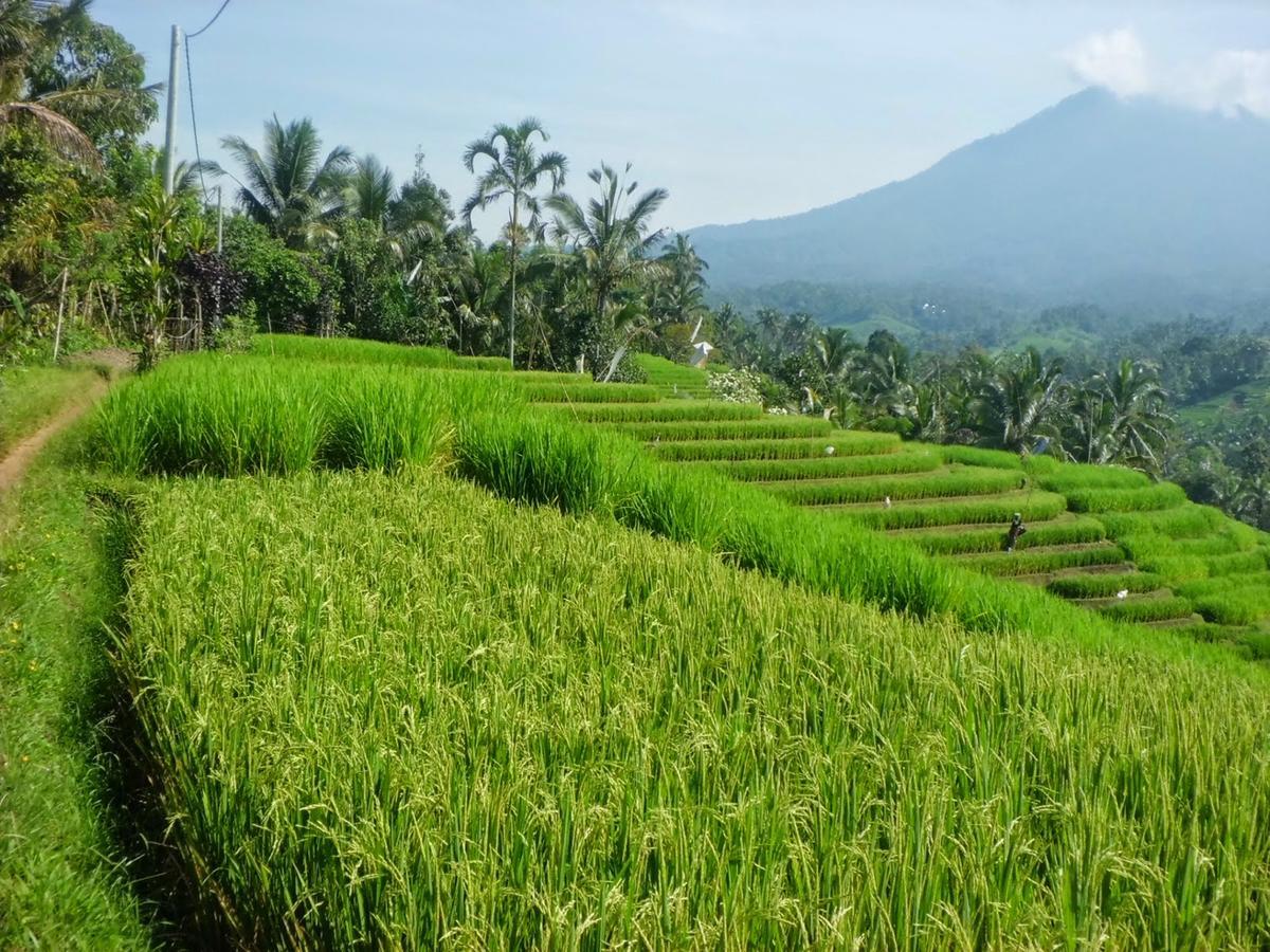 Zen Rooms Kuta Tuban Suites Bagian luar foto